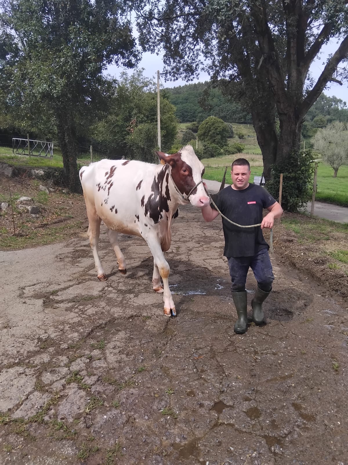 Asier junto a una de las vacas de Granja Palacio