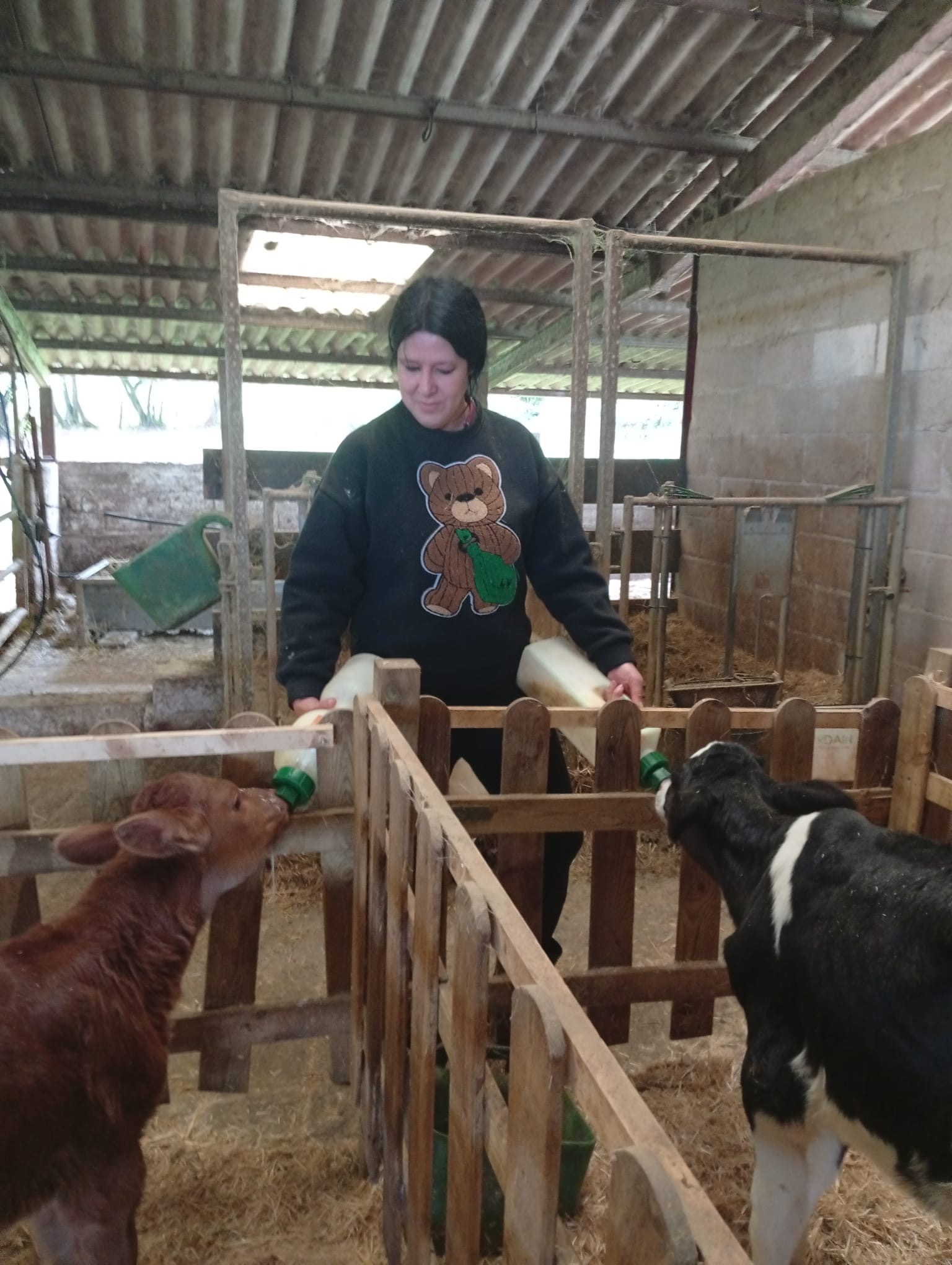 Mayte cuidando de los terneros de Granja Palacio