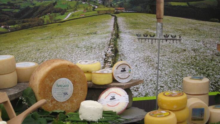 Queso fresco entero con una cuña cortada, servido en un plato